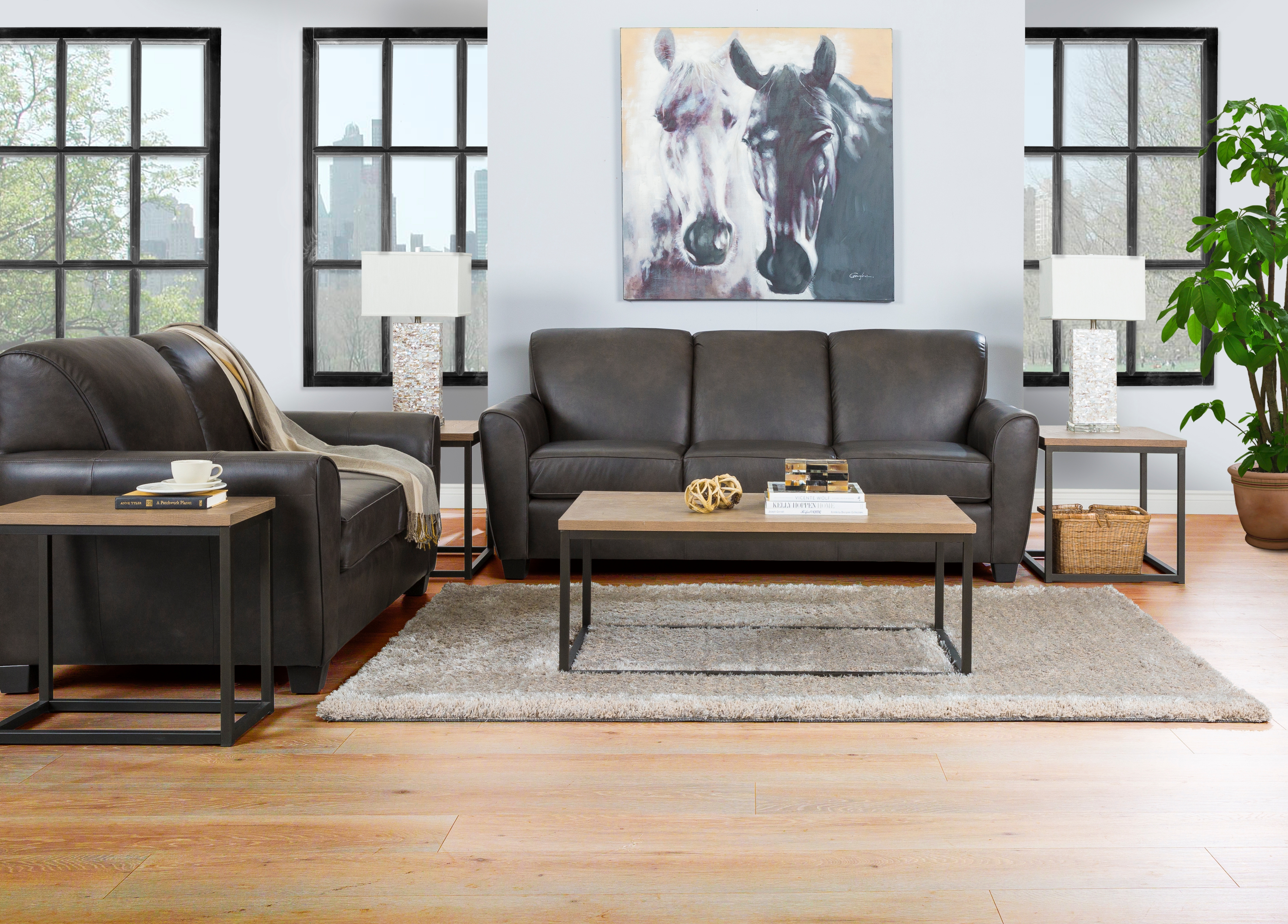 Queen Sleeper Sofa