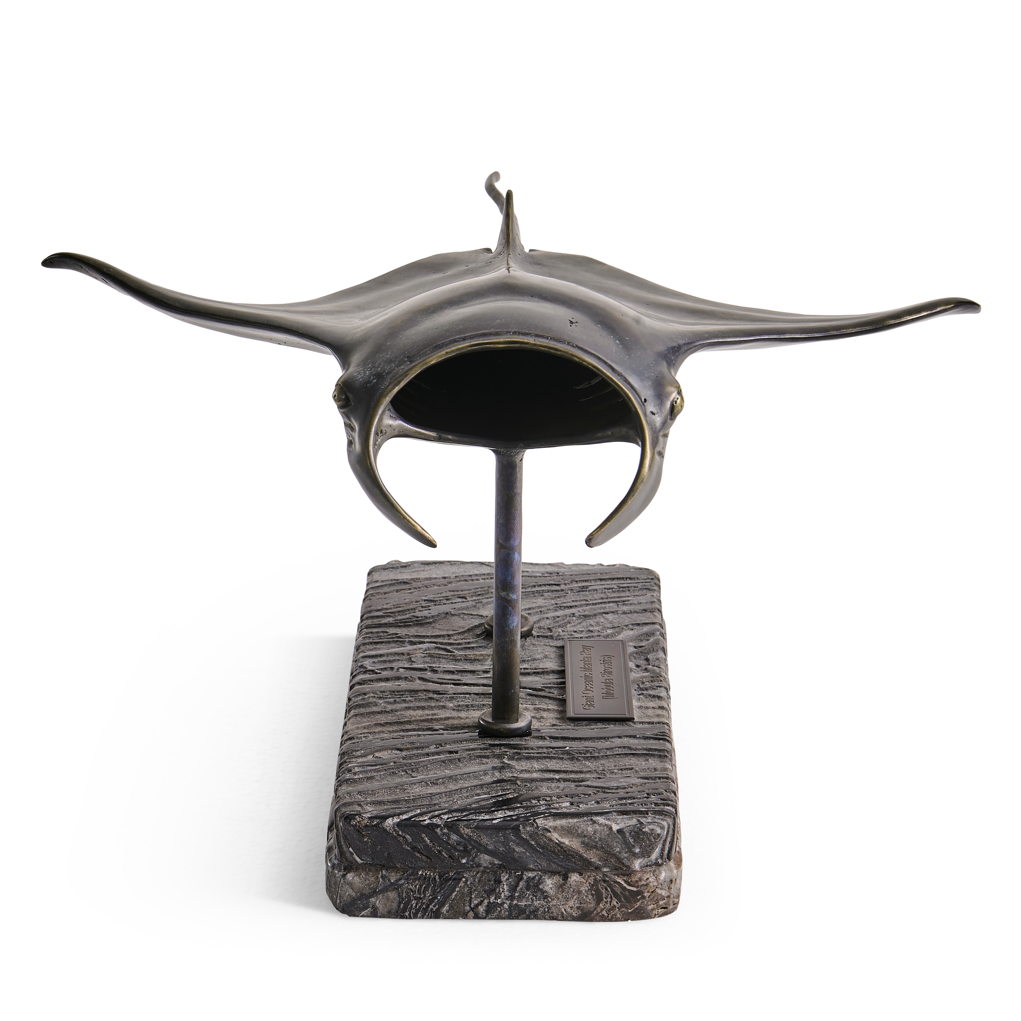Manta Ray Bronze Statue with Marble Base