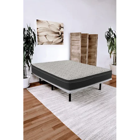 Queen 11" Pocketed Coil Mattress