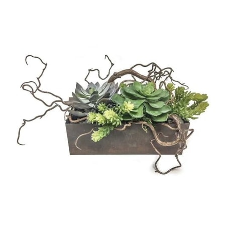 Succulents In Galvanized Planter 