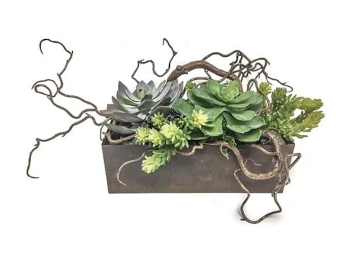 Succulents In Galvanized Planter 