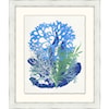 Wendover Art Group Coastal Graphic Sea life Collection 8