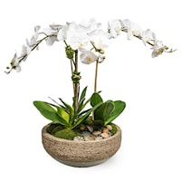 TRIPLE ORCHID IN A ROPE & CEMENT BOWL