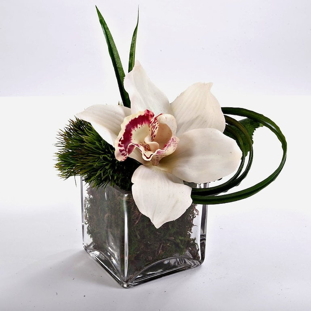 The Ivy Guild Florals Cymbidium Orchid in 3" Glass