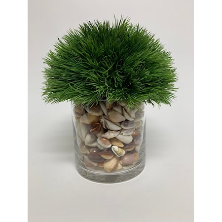 GRASS/SHELL IN 5" GLASS