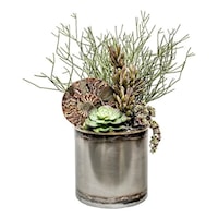 8" Tin Pot w/ Ammonite Fossil/Succulents 