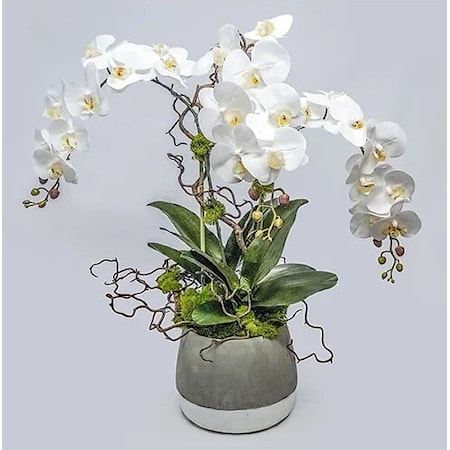 Ash Pot with Triple Orchids