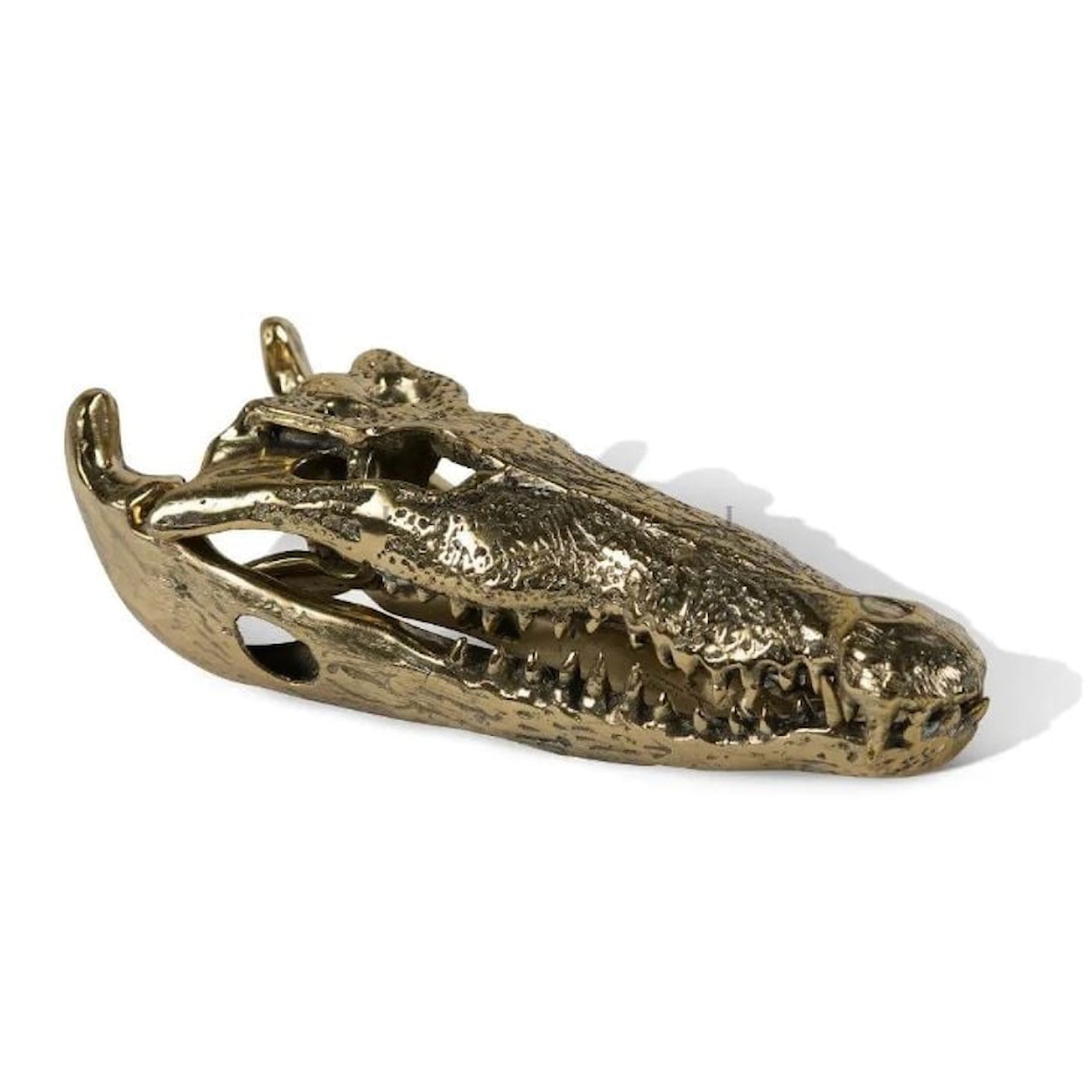 Ibolili Sculptures ALLIGATOR SKULL - BRASS