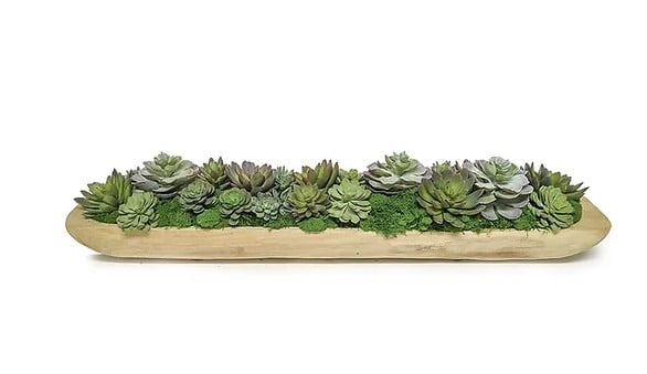 Succulent Tray