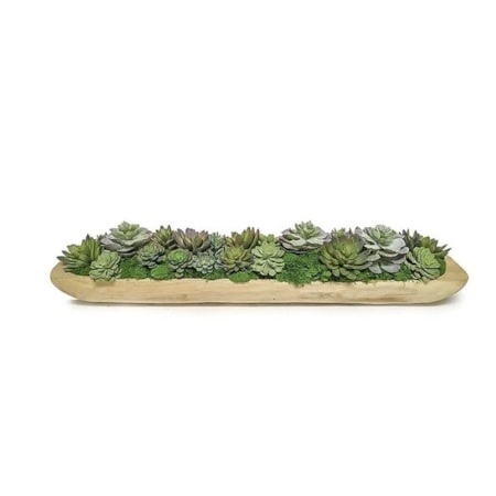 Succulent Tray