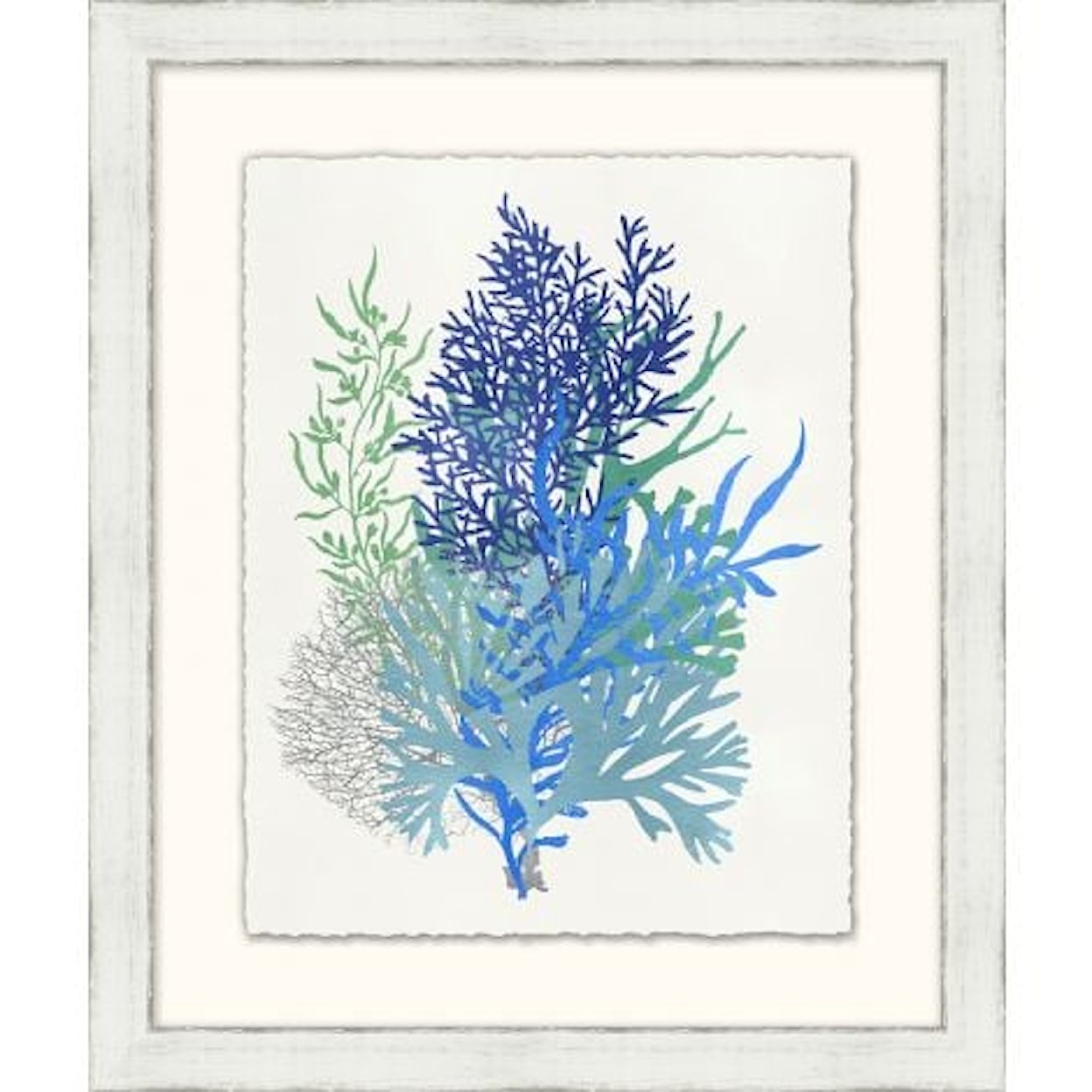 Wendover Art Group Coastal Graphic Sea life Collection 11