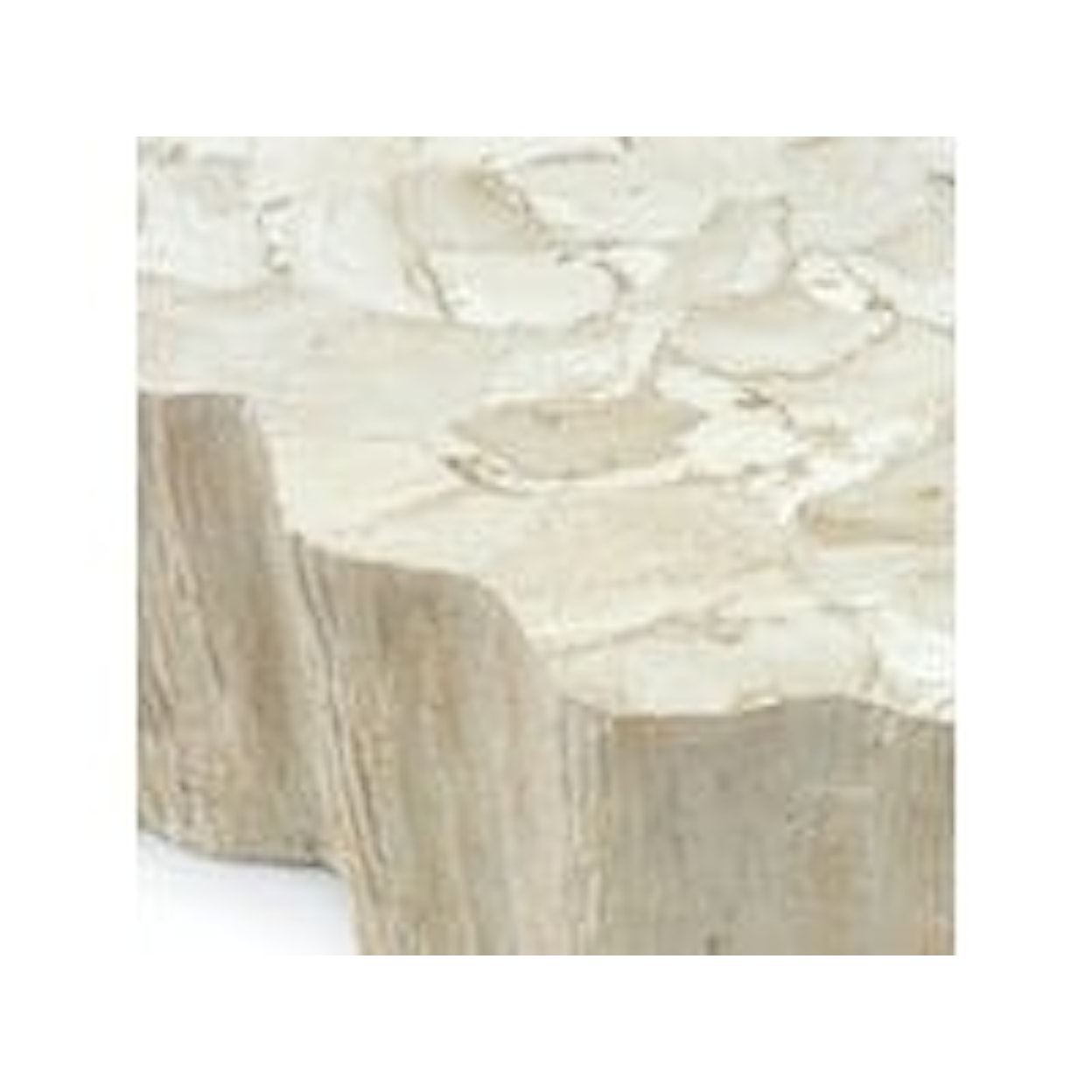 Palecek Camilla Camilla Fossilized Clam Coffee Table