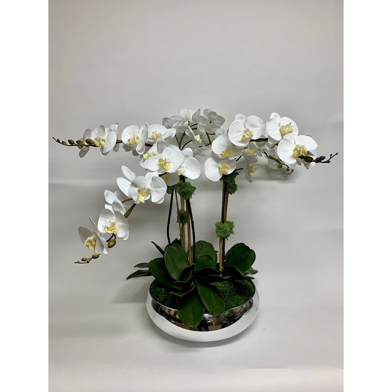 The Ivy Guild Orchids ORCHIDS IN SILVER GLASS BOWL