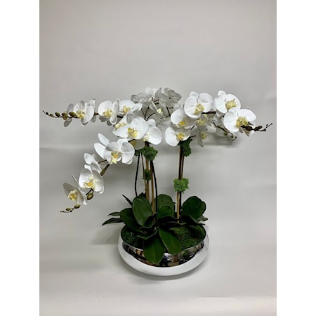 ORCHIDS IN SILVER GLASS BOWL