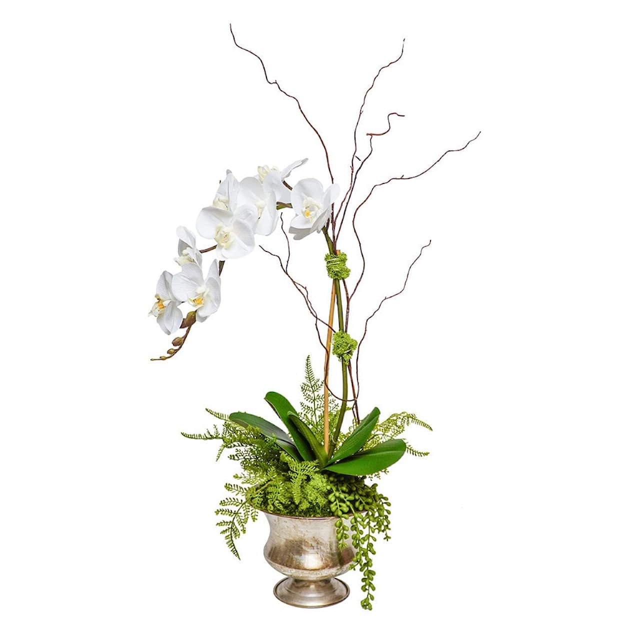 The Ivy Guild Orchids SILVER URN WITH ORCHID/ FERN