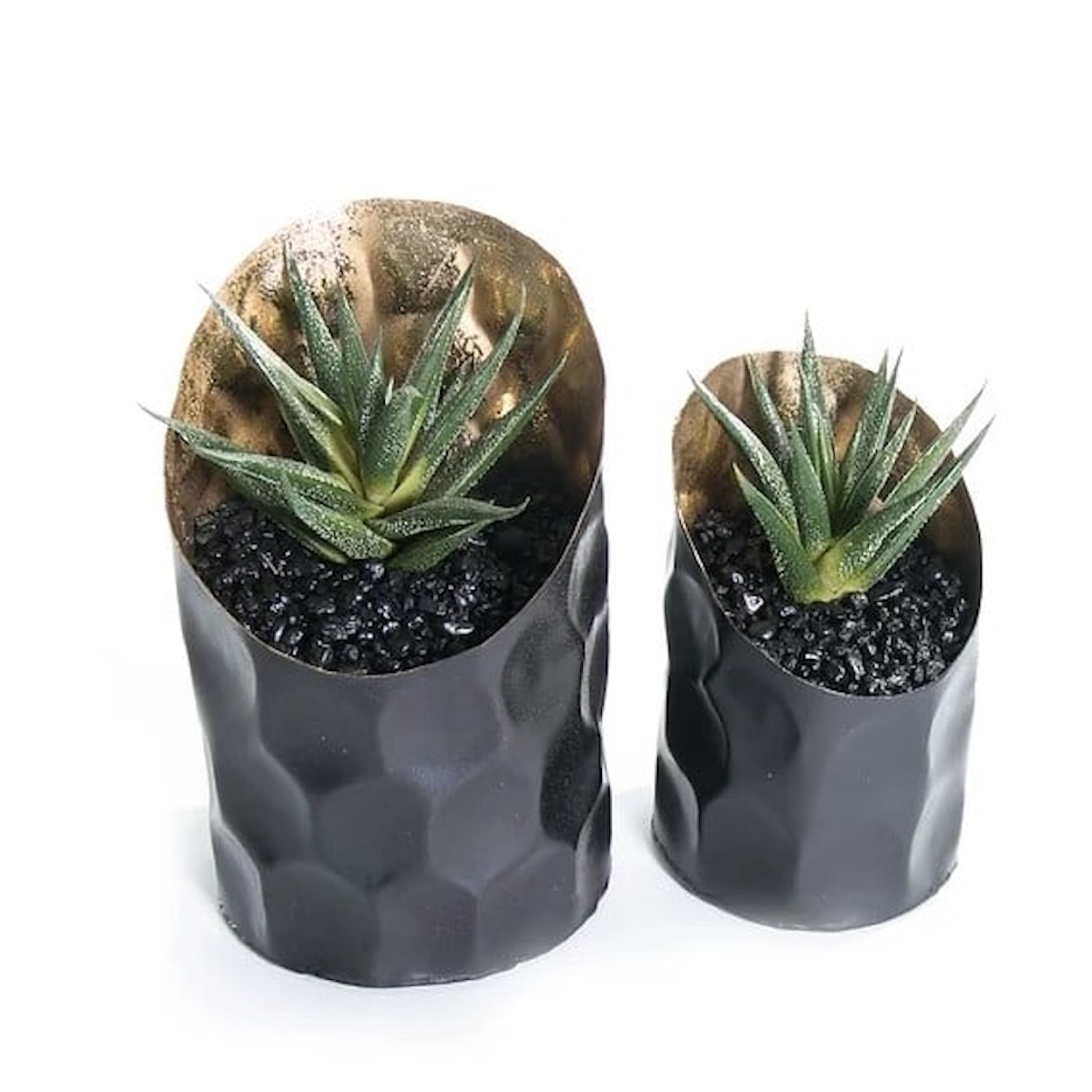 The Ivy Guild Succulents S/2 Succulents in Black/Gold 