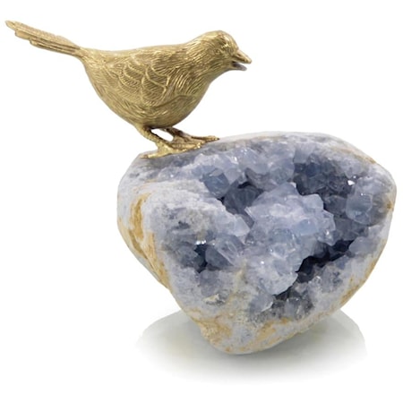 Bird On Celestite Rock I