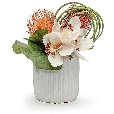 White Cymbidium/Protea in Haven Pot