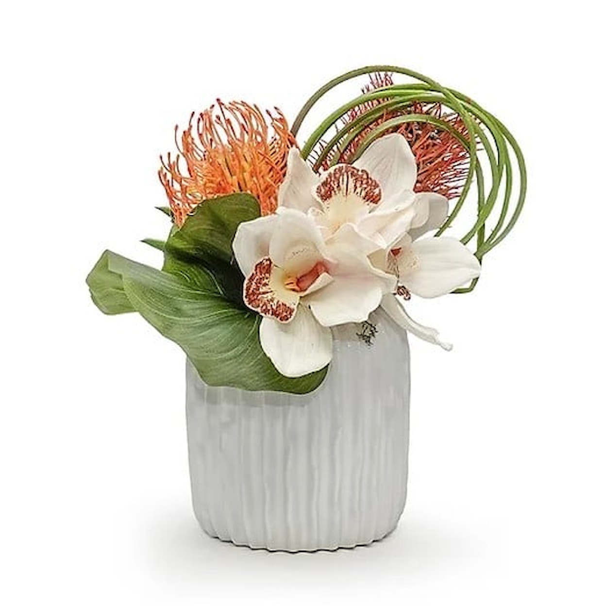 The Ivy Guild The Ivy Guild White Cymbidium/Protea in Haven Pot
