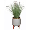 The Ivy Guild Botanicals SET OF 2 FOUNTAIN GRASS POTS