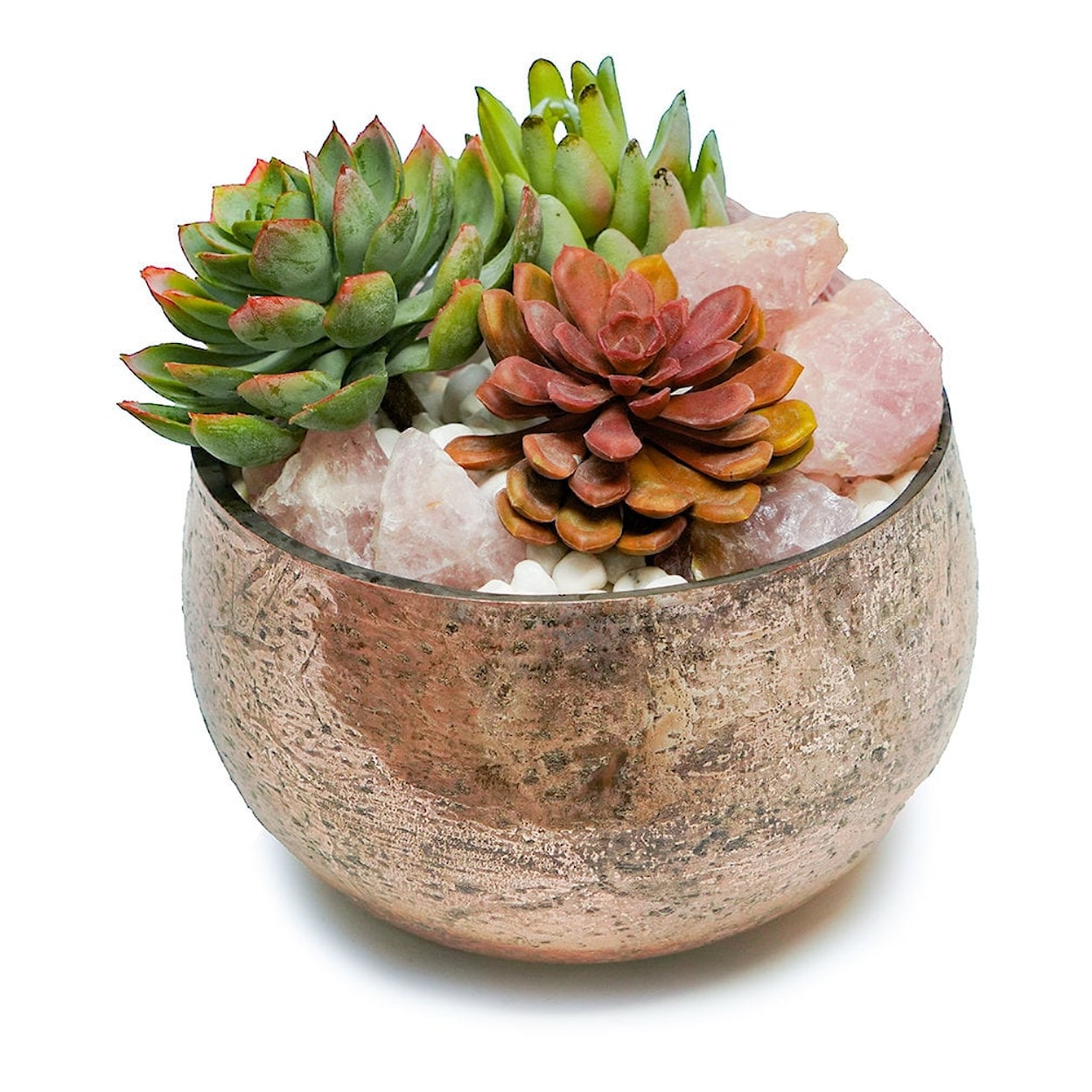 The Ivy Guild Succulents SUCCULENTS/ROSE QUARTZ IN ROSE MERCURY BOWL