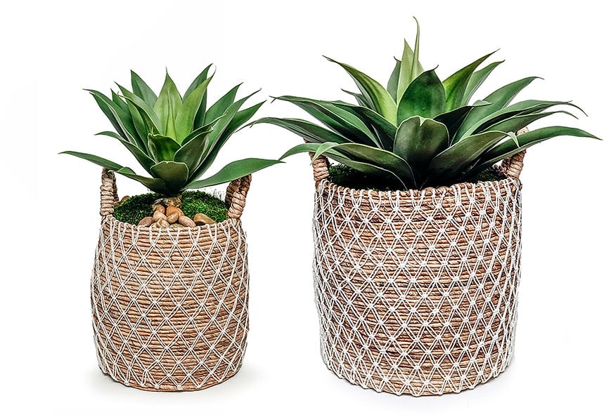 AGAVE BASKET LARGE
