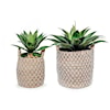 The Ivy Guild Botanicals SET OF 2 AGAVE IN NETTED BASKET