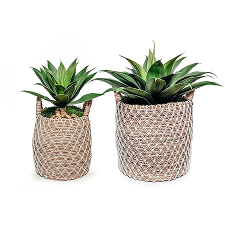 AGAVE BASKET LARGE