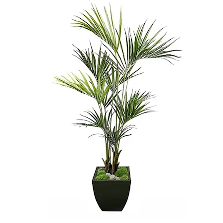 7' Kentia Palm in Zinc 
