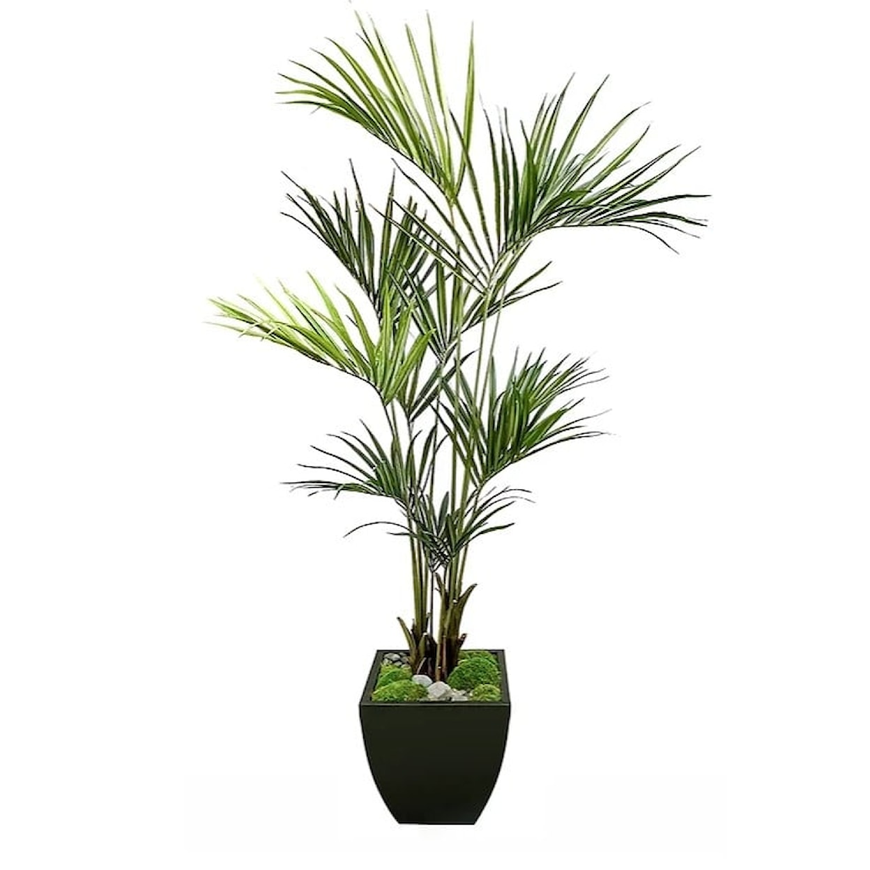 The Ivy Guild Trees & Plants 7' Kentia Palm in Zinc 