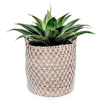 AGAVE BASKET LARGE