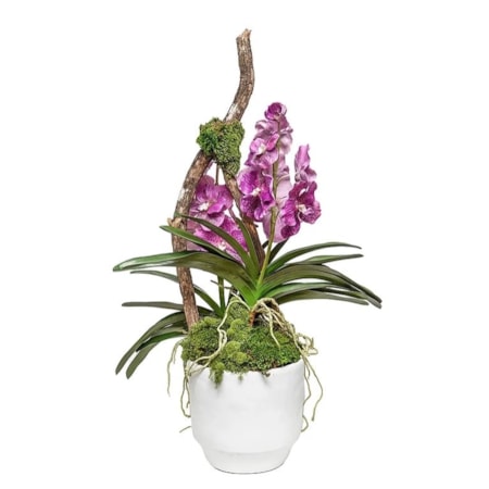 Glendale Pot With Double Vanda 
