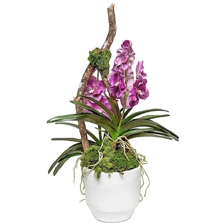 Glendale Pot With Double Vanda 