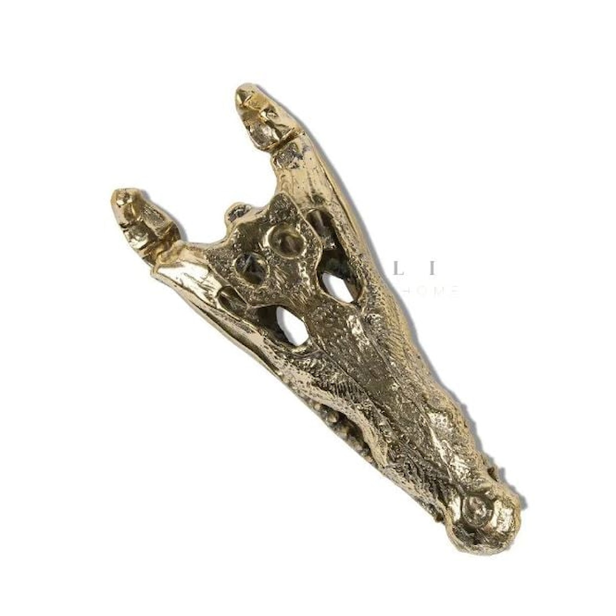 Ibolili Sculptures ALLIGATOR SKULL - BRASS