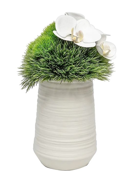 White Vase with Gras Dome/Orchid