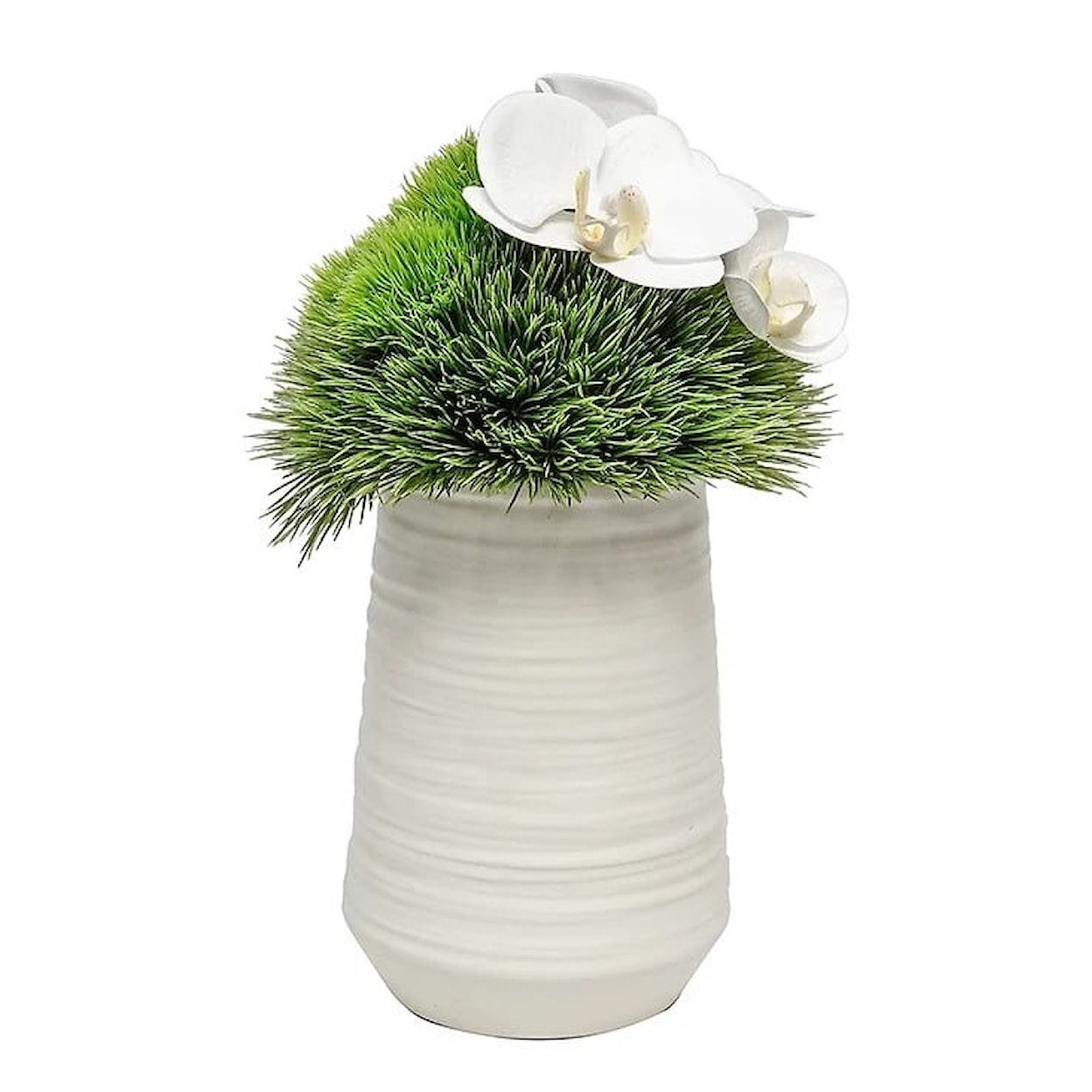 The Ivy Guild Orchids White Vase with Gras Dome/Orchid