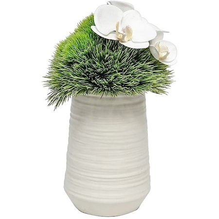 White Vase with Gras Dome/Orchid