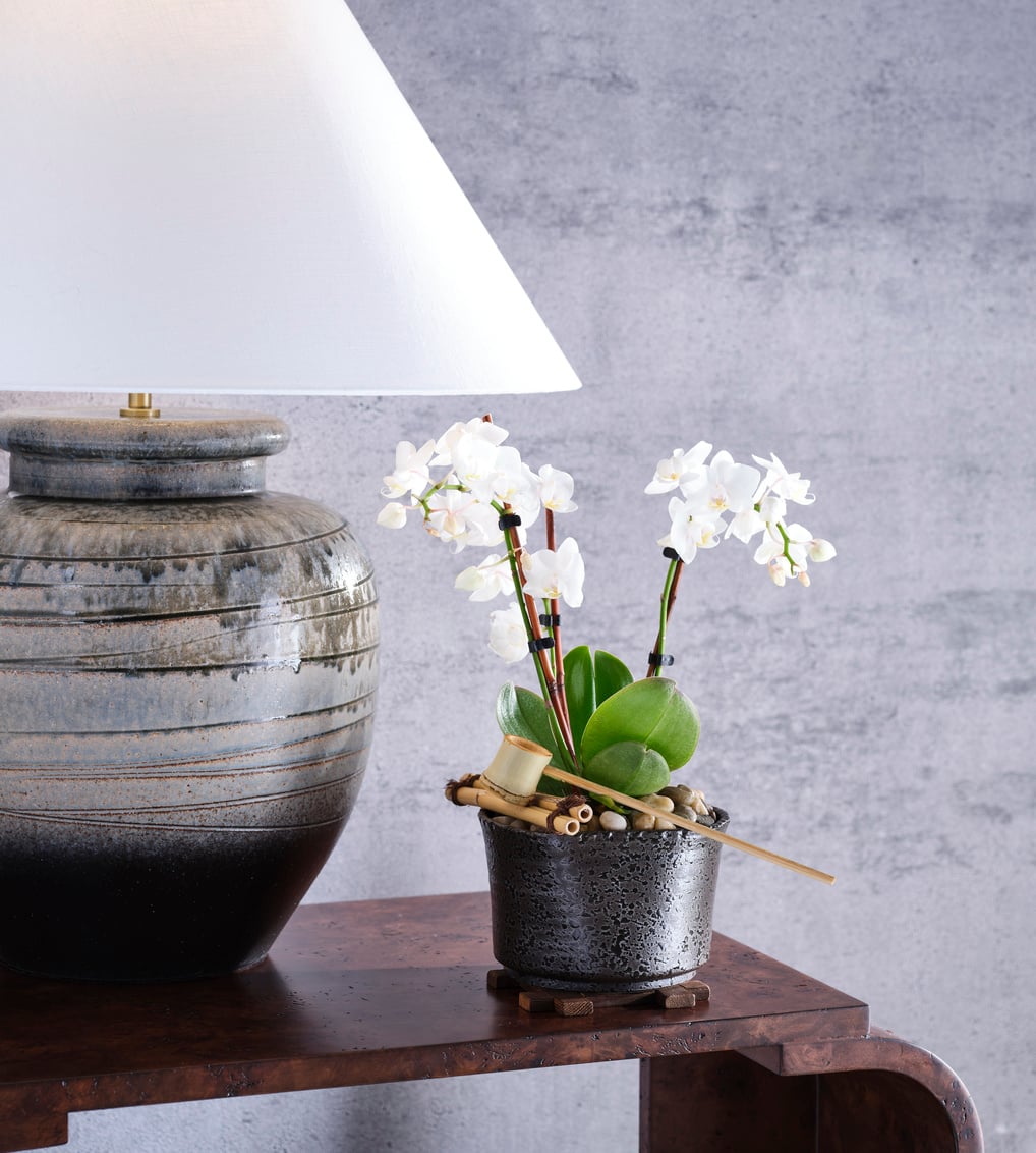 Wildwood Lamps Decorative Accessories Shokubutsu Kuro Vessel