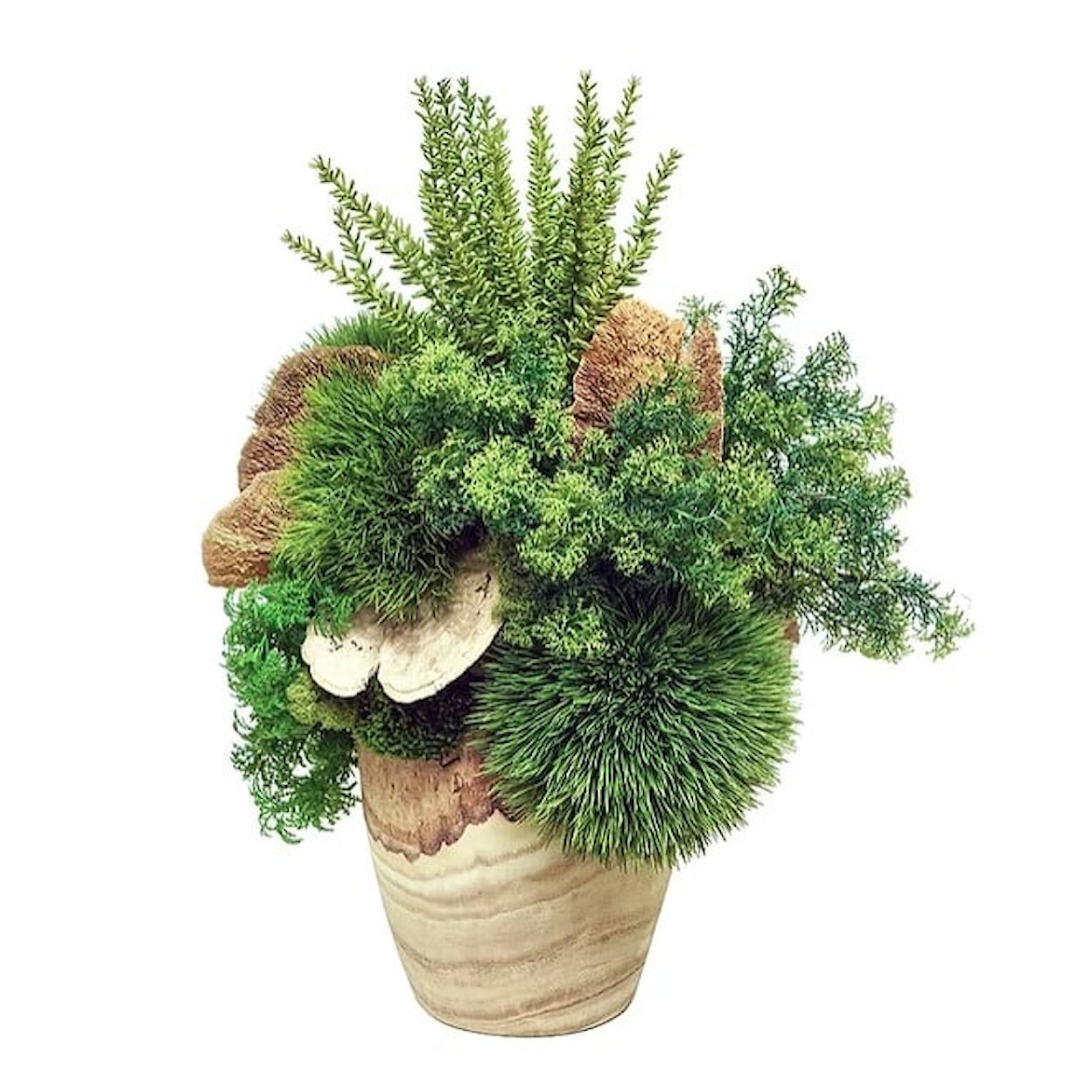 The Ivy Guild Botanicals Wood Vase W/ Botanicals/Natural Mushrooms