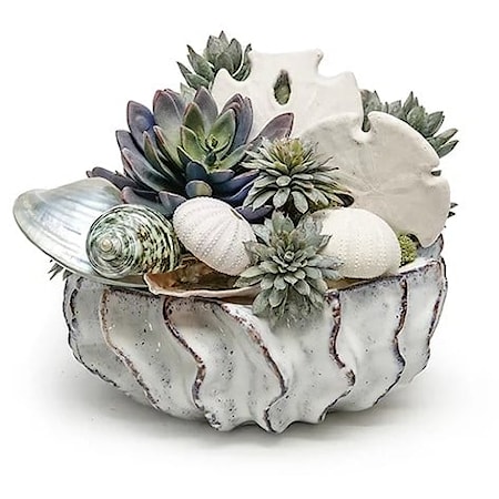 Shells/Succulents in 9" Sono Bowl 