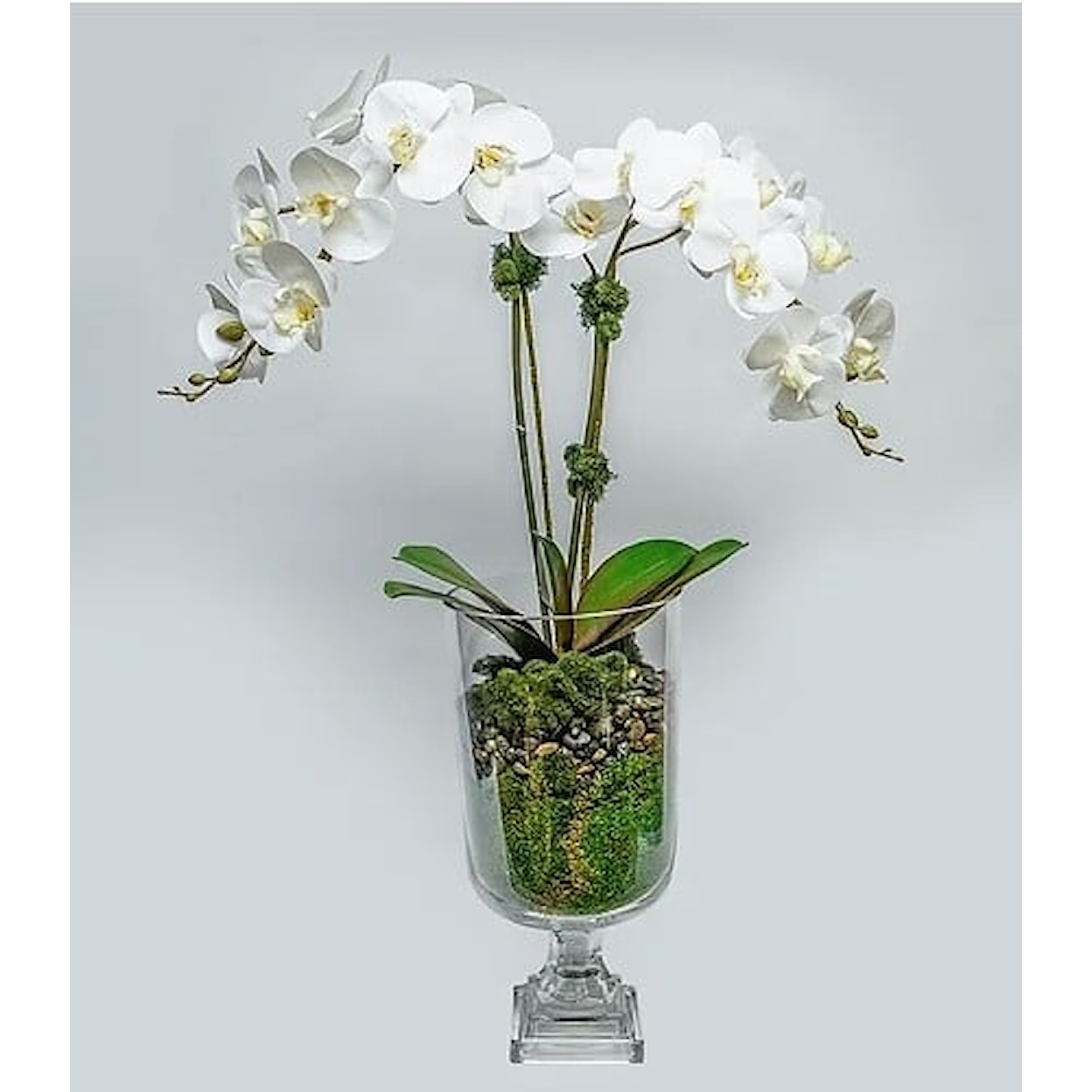 The Ivy Guild Orchids Double Orchid in Glass Urn