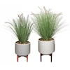 The Ivy Guild Botanicals SET OF 2 FOUNTAIN GRASS POTS