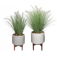 SET OF 2 FOUNTAIN GRASS POTS