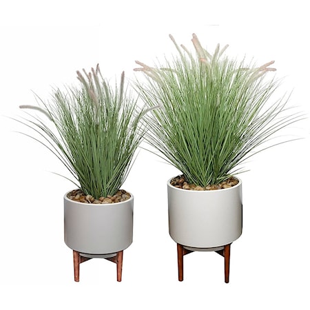 SET OF 2 FOUNTAIN GRASS POTS