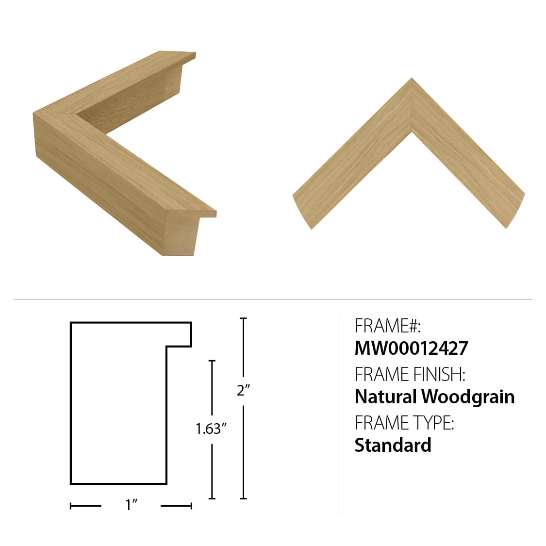 Wendover Art Group Coastal INDIGO CORAL 1