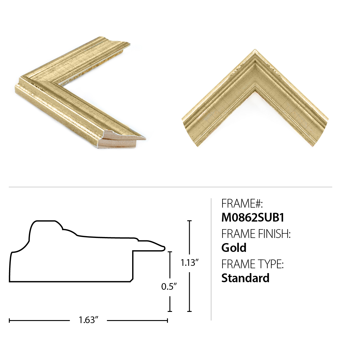 Wendover Art Group ANIMALS FLYING SPECIMEN 7