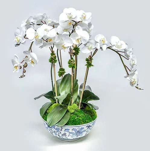 BLUE/WHITE BOWL WITH 5 ORCHIDS