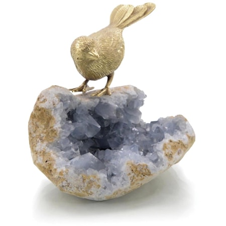 Bird On Celestite Rock II