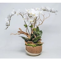 Wood Bowl w/ Orchids/Manzanita