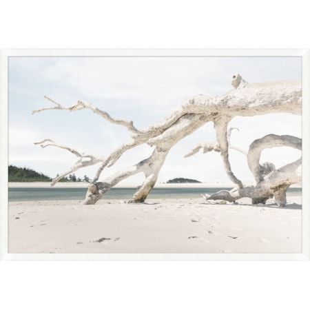 DRIFT WOOD COMPOSITION